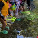 팔봉1교 다리 밑 이미지