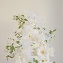 다올스토어 이미지