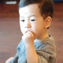 귀촌샤브칼국수 이미지