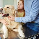 논산동물병원 이미지