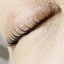 모어댄나우래쉬
