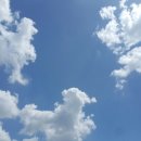 오얏리돌솥밥 이미지