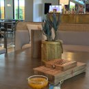 K boutique hotel | [치앙마이] 호텔 추천 님만해민 SYN Boutique Hotel 후기 조식 수영장