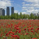 태화강국가정원 이미지