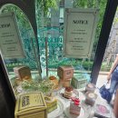 강남역카페 셀렉티드닉스 후기! 티라미수 맛집&amp;공간대여 가능한 강남대형카페