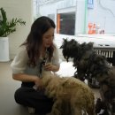 애니살롱 - 강남구 봉은사로109길 22-5 | 애니살롱
