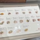 (주) 마들렌 만촌동지점 | [대구] 아눅 만촌 - 수성구 만촌동 대형 브런치 카페 빵 종류 주차 내돈내산 후기