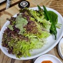신성정육식당