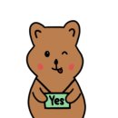 다온 합기도 이미지