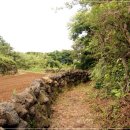 용수절부암 이미지