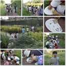 가을의 온새미로 이미지