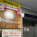 인하쿠나마타타 이미지