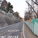 완월동283 이미지