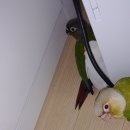 동물원 화장실 이미지