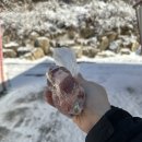 산중펜션 | [내돈내산] 겨울 글램핑이 진짜 낭만이다｜포천 산중호걸 글램핑 1박2일 솔직 후기 (3번째 방문)