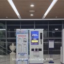 하이원 밸리콘도 슈페리어 패밀리룸 후기