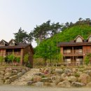 검봉산 자연휴양림 티스토리