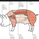 돼지세끼 이미지