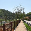 황둔쌀찐빵