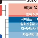 부동산PF 위험노출액 202兆… "책준 확약에 위기 가중" 이미지