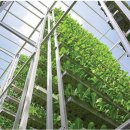 방식농장 이미지