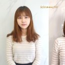 샤밍헤어 네이버블로그