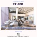 호텔난타 | 호텔 난타 제주 후기 제주 추천 숙소 여기