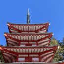 EG투어버스 I코스 | 도쿄 근교여행 후지산 투어를 꼭 넣어햐 하는 이유 I 당일 버스투어 코스 여자혼자여행