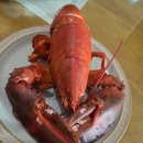 부산실내바다낚시터 이미지