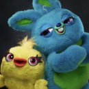 스테이 피크닉 이미지