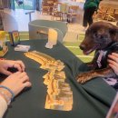 스카이개슬 이미지