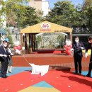 영광센터 9호 이미지