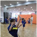 용인대화랑합기도 이미지