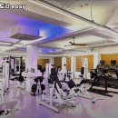 머슬팩토리 easy | 경기도 안성시 헬스장 머슬팩토리 easy 내용가격운영시간주차리뷰 알아보기