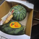 해미약국 | 임신중기 ; 괌 태교여행 / 말띠맘 회동 / 배가 쭉쭉 ( 18 - 22주)