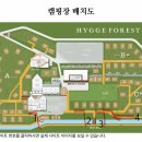 B11 | 휘게포레스트 계곡 위치 및 수심 상세 후기 | B11사이트 및 4월 잔디 양생 기간 현황