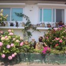 길순농장 이미지