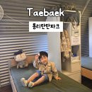 태백파크 | 강원도태백여행 태양의후예 촬영지 통리탄탄파크 가족여행지