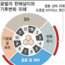 꿀벌 떼죽음(군집 붕괴현상·CCD) 원인이 휴대전화로 밝혀지다 이미지