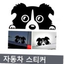 프리티도그 이미지