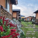 금앤옥통나무펜션 네이버블로그