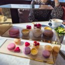 애프터눈커피 화장실 | 소피텔 3인 호캉스 후기 (베드추가, 애프터눈티, 사우나, 해피아워, 라티튜드, 페메종 조식)