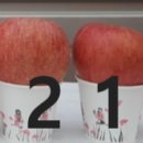 꼬마꼬꼬 이미지