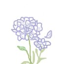 31140-5-6-17 이미지