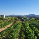 군위농장 이미지