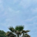 강동로1-10 이미지