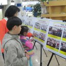 사천초교 이미지