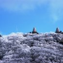 28산우회12월눈꽃산행(원주 치악산국립공원.1288m) 이미지