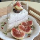 프리샵 | 대구빵집 수성구카페 비건글루텐프리빵집 쭈롱베이크샵 후기