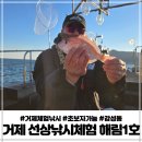 해림낚시 | 거제 선상체험낚시 초보자도 누구나 쉽게 대상어종 잡을 수 있어요 거제낚시 후기